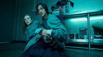 电影人工进化在线观看,探索未来人类进化的惊悚之旅